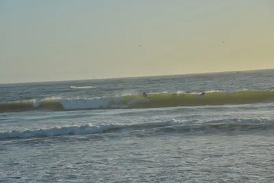 DSC_7272 (Large).JPG